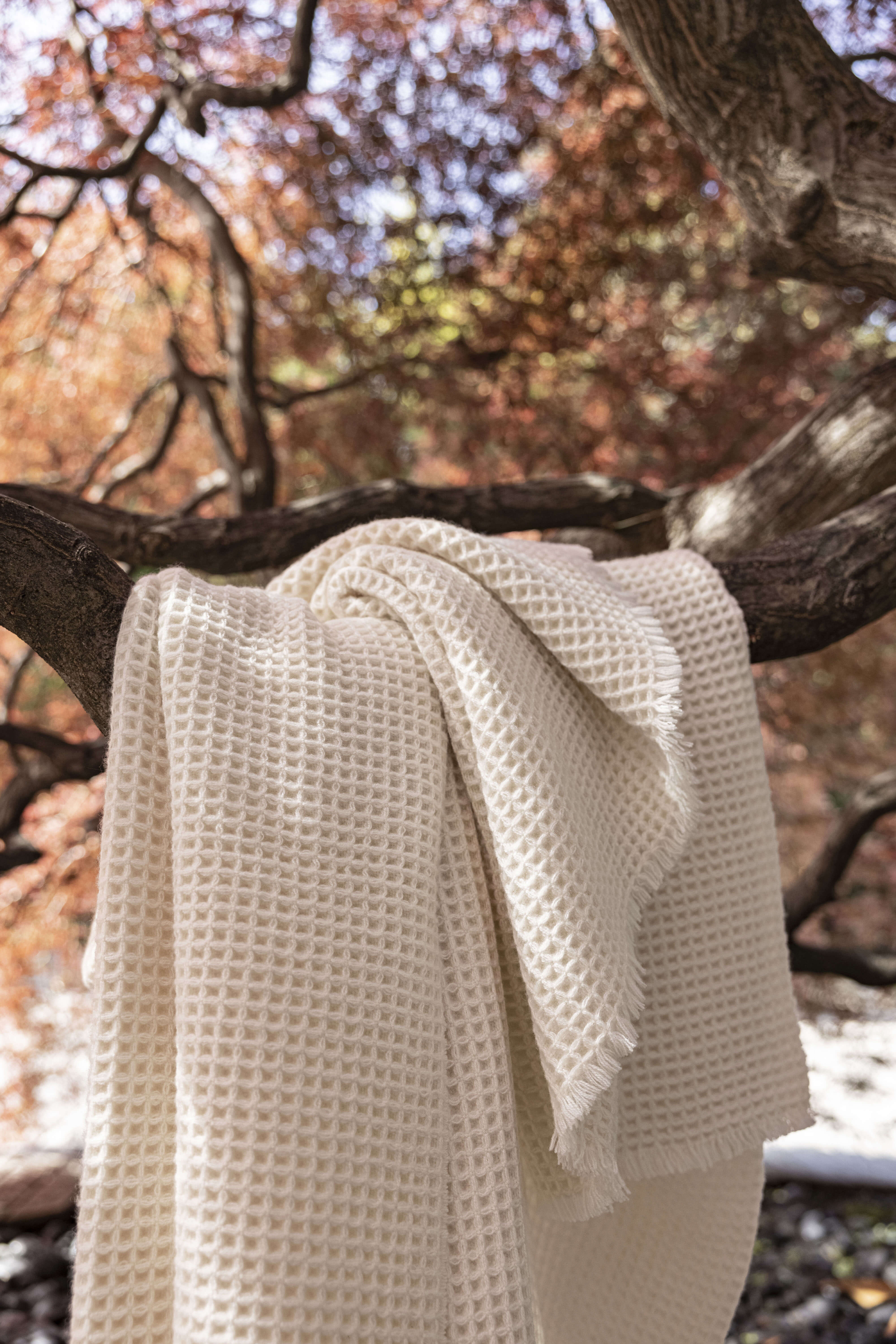 Sasha: cashmere honeycomb throw - Ecru