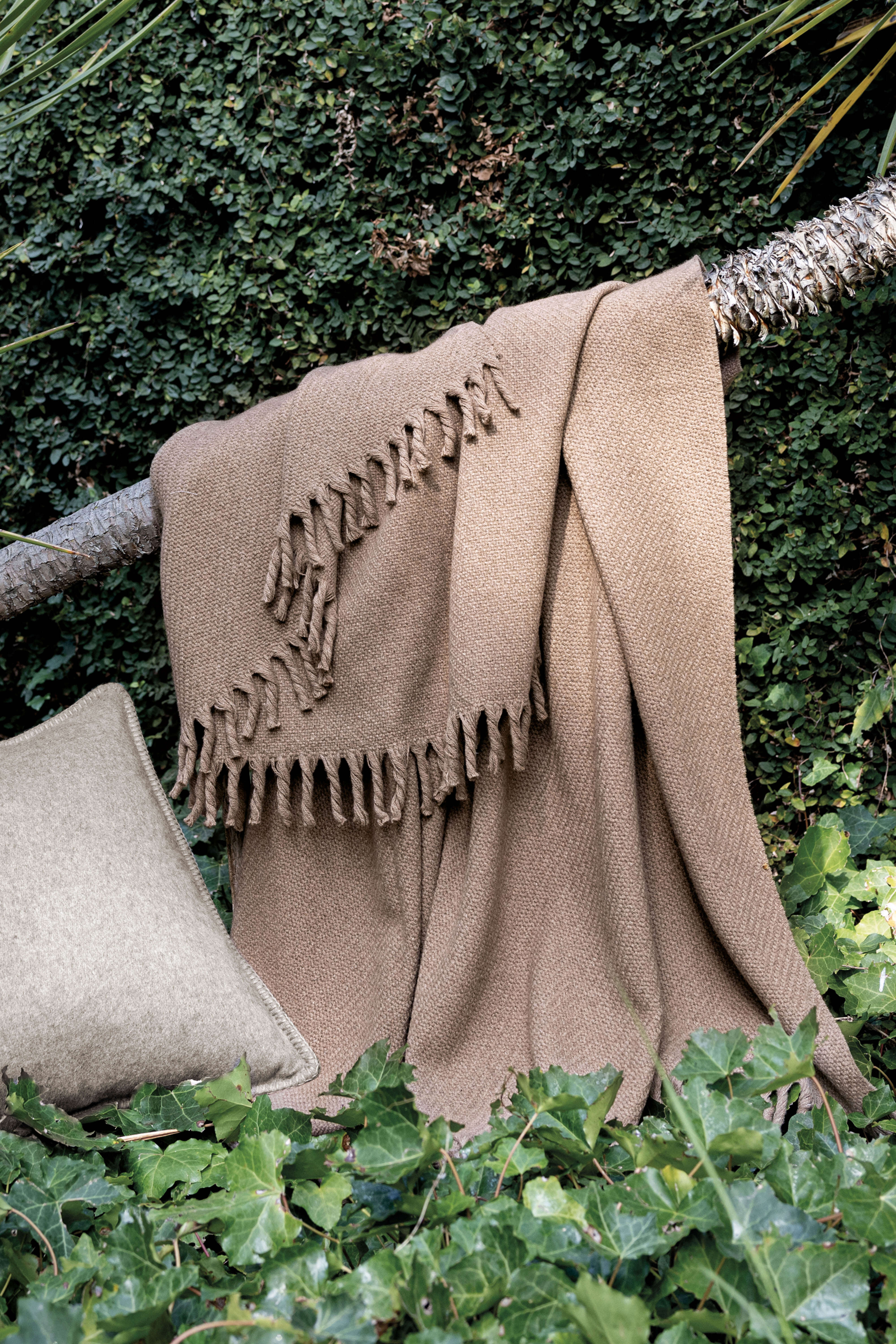 Lucca: cashmere throw with handcrafted fringes - Camel