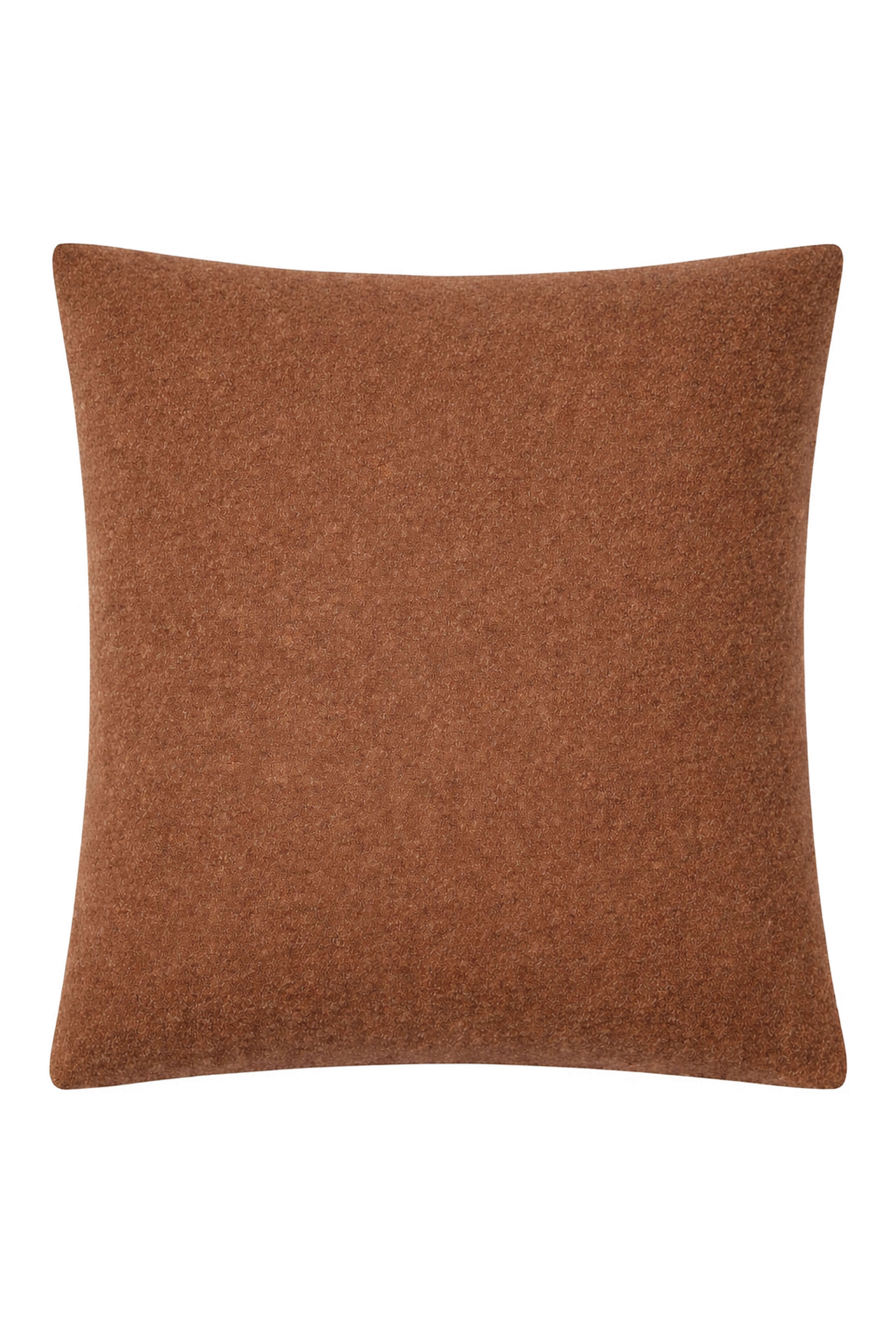 Region: cashmere & silk cushion - Vicuna